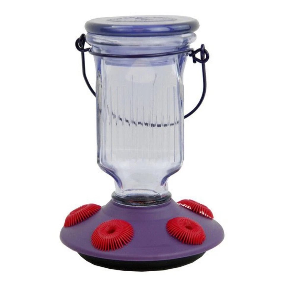 Perky-Pet Lavender Field Top-fill Glass Hummingbird Feeder 16 Oz