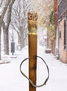 Hand Carved Painted OWL Walking Stick Cane Wood wooden 51” - Picture 1 of 5