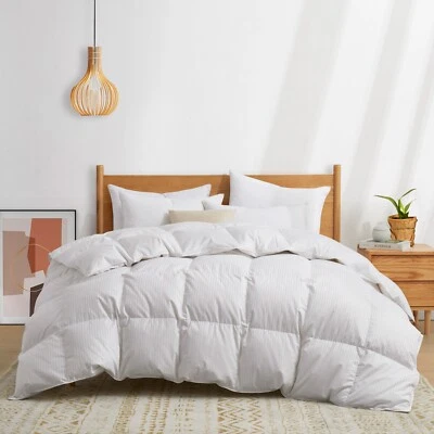 Puredown 90% Down Comforter 800 Fill Power, King or Queen Blanket Cotton Shell - Image 1 of 4