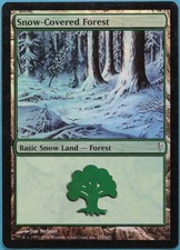 Snow-Covered Forest FOIL Coldsnap HEAVILY PLD Basic Land CARD (211977) ABUGames