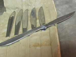 Vintage Ashton Stainless Steel Sweden Mid Century Modern Design Steak Knives - Picture 1 of 3
