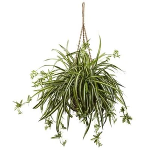 Nealy Natural Artificial Spider Plant 20" Year-Round Greenery Indoor W/ Basket - Picture 1 of 5