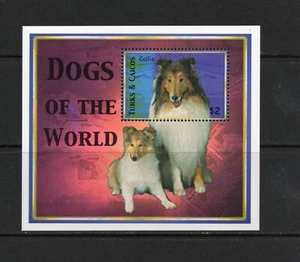 R6556 Turks & Caicos 2000 perros Collie HOJA MNH - Imagen 1 de 1