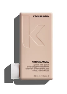 Kevin Murphy Autumn Angel Shine Treatment 8.4oz - Picture 1 of 1