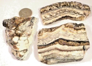3 Stones for Carving? 2 Silver Lace Onyx, 1 Old Howlite 1st Pic Wet #3375 - Picture 1 of 4