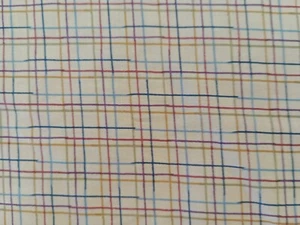 96CM BACKYARD BEAUTY BETTY COTTON PATCHWORK QUILTING WINDHAM FABRICS 25959 PLAID - Picture 1 of 5