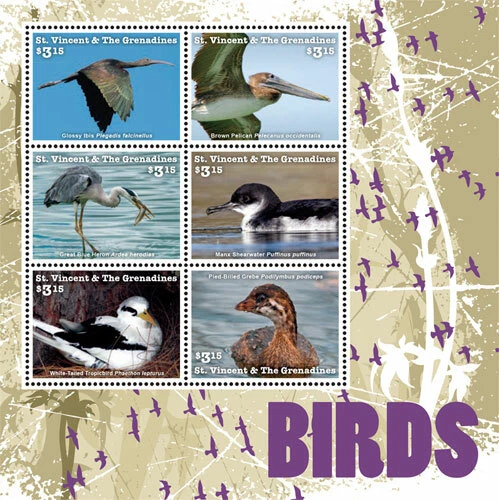 San Vicente 2015 - Aves, animales, pelícanos, fauna - Hoja de 6 estampillas - MNH Foto 1 de 1