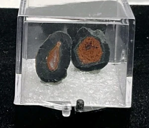Hermosas Geodas Naturales Tabasco Par Rebanadas En Estuche Protector Lote #18 - Imagen 1 de 16