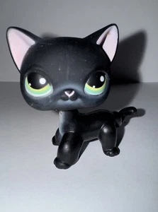 Authentic Littlest Pet Shop #336 Black White Shorthair Siamese Green Eye LPS Cat - Picture 1 of 6