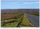 1980S Judges Postcard North Yorkshire Moors Landscape At Heather Time Unposted