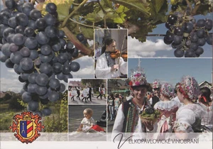 Cartolina d'epoca - Velkopavlovické Vinobraní - Foto 1 di 1