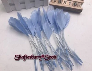 LONG LIGHT BLUE Stripped Coque Feathers x 10 pcs Fascinators Millinery Crafts - Picture 1 of 3