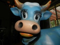 RARE HUGE Vintage 1950's Disney Inspired Toy Heavy Vinyl Cow Made  West Germany 