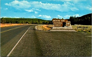 Medicine Bow National Forest Wyoming Postcard - Picture 1 of 2