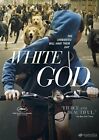 WHITE GOD NEW DVD