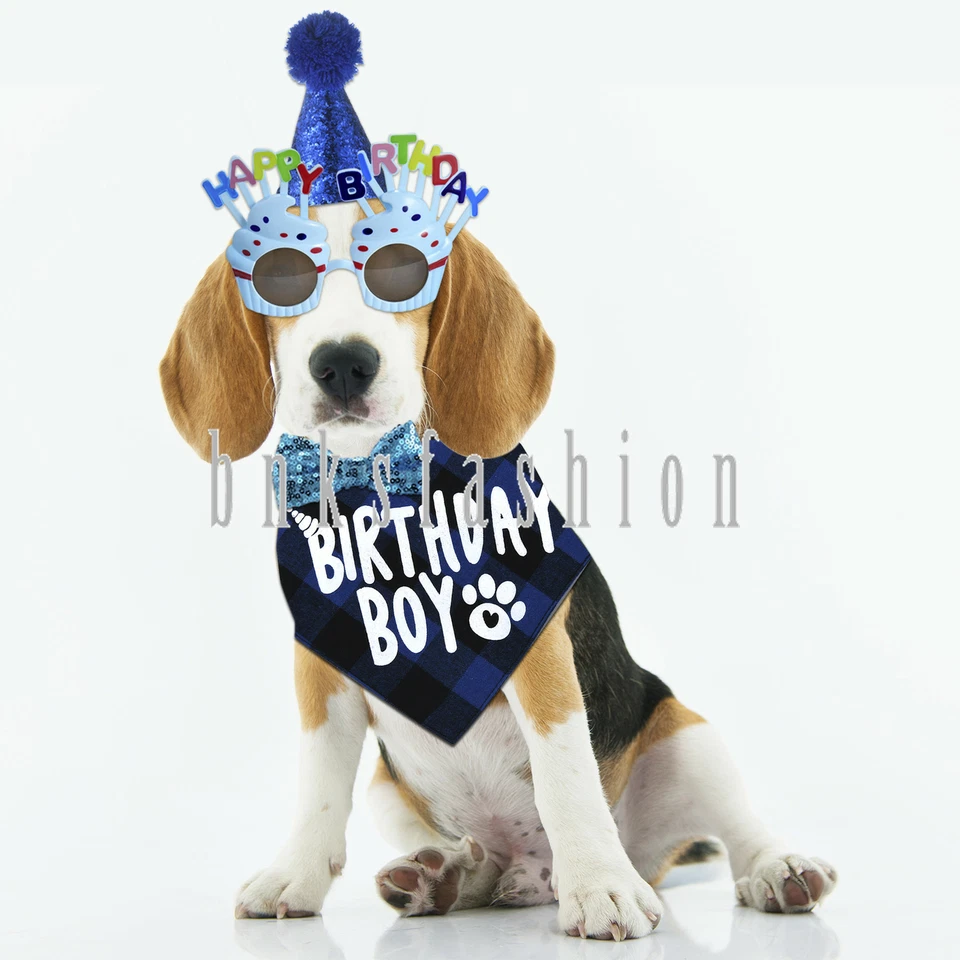 Lindo pañuelo de cumpleaños para mascotas perros cachorros sombrero pajarita conjunto de gafas suministros de fiesta 4 piezas Foto 1 de 4