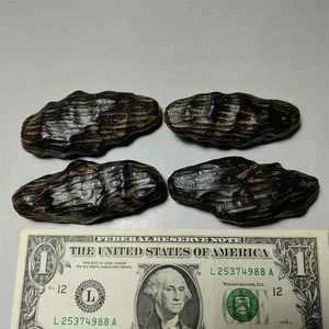 Set of 4 Chinese Export Agarwood Block - Picture 1 of 6