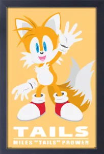PÓSTER SONIC MODERNO PERSONAJE COLAS 12x18 ENMARCADO GELCOAT VIDEOJUEGOS SEGA ¡NUEVO!¡! - Imagen 1 de 2
