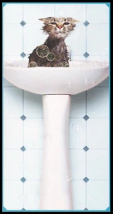 Grußkarte - Katze Kätzchen Tabby - Ermutigung - 0041 - Bild 1 von 2