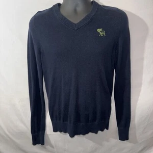 Vintage Abercrombie & Fitch Blue V-Neck Muscle Fit Cotton/Cashmere Sweater L - Picture 1 of 10