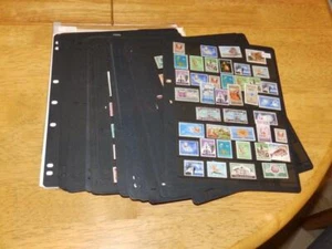 (8404) SOUTH AFRICA & AREA M & U STAMP COLLECTION ON STOCK PAGES etc - Picture 1 of 1