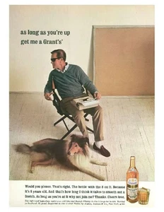 1964 Grants Scotch Whisky Collie PRINT AD - Bild 1 von 1