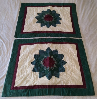 Juego de 2 fundas de almohada manchadas acolchadas Star County Farmhouse Queen 30x24 fundas Foto 1 de 4