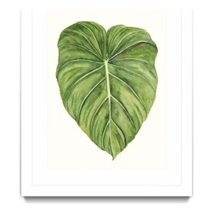 Giant Art 24x32 Tropical Breeze Leaves II Matted and Framed in White - Picture 1 of 3