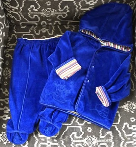 Small Wonders Boy Velour Hooded 2pc Outfit Size 6-9M - Picture 1 of 9