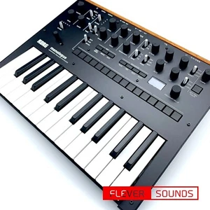 Korg Monologue-BK Monophonic Analog Synthesizer Black 25-keys Genuine Products - Picture 1 of 11