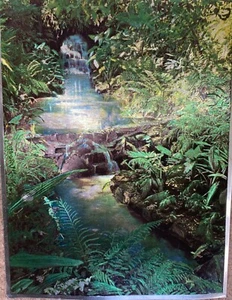 VTG Foil Art Print Fern Stream Aesthetic Impressions 1980 England 6¼ X 8¼" #104 - Picture 1 of 4