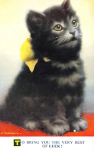BAMFORTH GLÜCK SERIE POSTKARTE NR. G 212 KATZE FITZPATRICK UNBENUTZT SEHR GUT - Bild 1 von 2