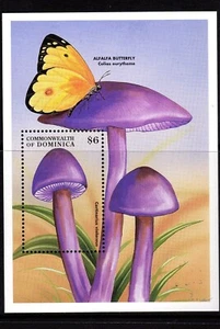 DOMINGO HONGOS MUSHROOM PILZEN RIF 84 - Imagen 1 de 1