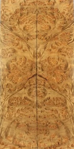 ZS101 Bookmatch incrustación madera 5A ojo de pájaro oro alcanfor caja fabricación chapa de marquetería - Imagen 1 de 4