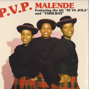 P.V.P. Malende NEW OVP LA Casa Tropical 2xVinyl LP - Picture 1 of 1