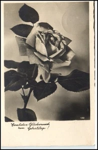 Glückwunsch AK 1941 Glückwunsch Geburtstag Dt. Reich PK Motiv Rose Blume - Picture 1 of 1