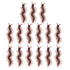 15 Pcs Plastic Simulation Centipede Life Cycle Fake