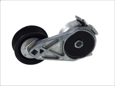 Tensioner Lever, V-ribbed belt DAYCO 89252 - Image 1 of 4