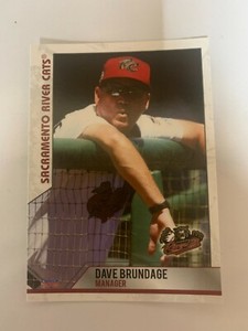 Dave Brundage Card 2019 Sacramento River Cats Team Card