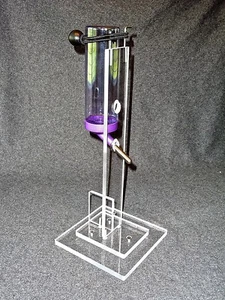 Caraval Pet water stand W/ 16oz Oasis Crystal Color water bottle and bungie. NEW - Picture 1 of 4