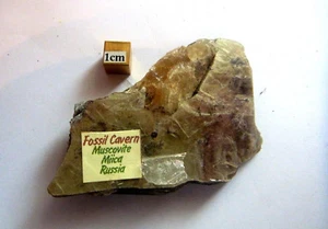 MISCOVITE MICA  SPARKLY A-GRADE CRYSTAL BRAZIL REIKI 82g 80mm fc21 - Picture 1 of 3