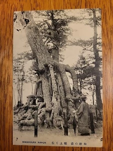 Vintage Postcard Wakanoura Nippon Tree Roots Real Photo Early 1900s - Picture 1 of 2