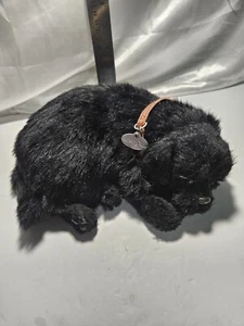 Perfect Petzzzz Black Lab Sleeping Breathing Puppy Dog Toy Works - Picture 1 of 6