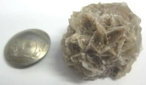DESERT ROSE STONE SELENITE NATURAL CRYSTAL 26.3 GRAMS MEDIUM SIZED SPECIMEN US - Picture 1 of 6
