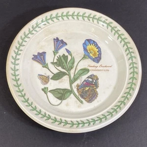 Portmeirion BOTANIC GARDEN Bindweed Bread & Butter Plate 7 1/4" Backstamp 1972 - Picture 1 of 12
