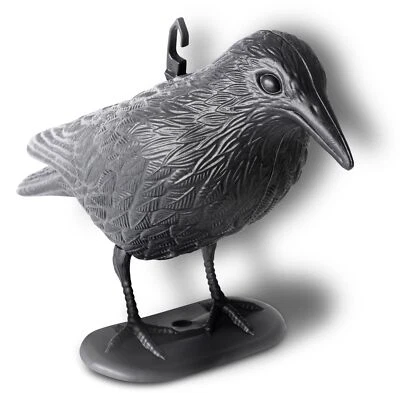 Corvo Finto Antipiccioni Spaventapasseri per Uccelli Dissuasore Scaccia Piccioni - Immagine 1 di 4