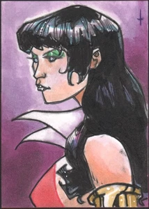 VAMPIRELLA Sketch card by Artist Turtle Original Art - Picture 1 of 1