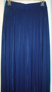 Lapis Navy Blue Long Pleated Skirt Women's Size Medium, NWT - Picture 1 of 3