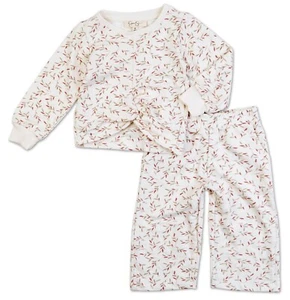 Jessica Simpson Toddler Girl 2 Pc Multicolor Pants Outfit Set Size 2T NWT - Picture 1 of 6
