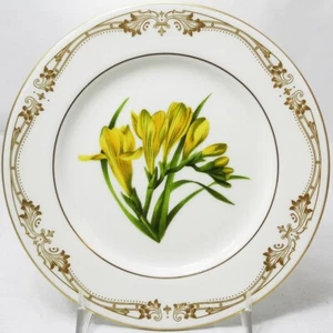 CHELSEA GOLD CROCUS by Aynsley Bread & Butter Plate NEW NEVER USED made England - Picture 1 of 3